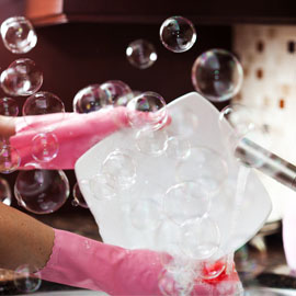 Detergent Resistant Gloves